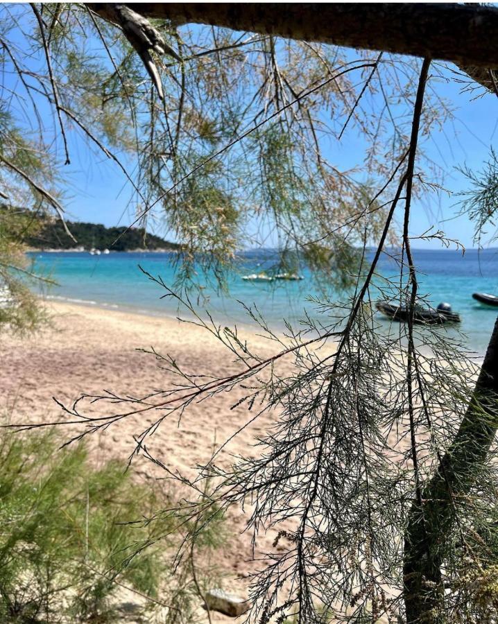Le Lavandou "Cavaliere" -Rez De Jardin Bord De Mer , Atom エクステリア 写真